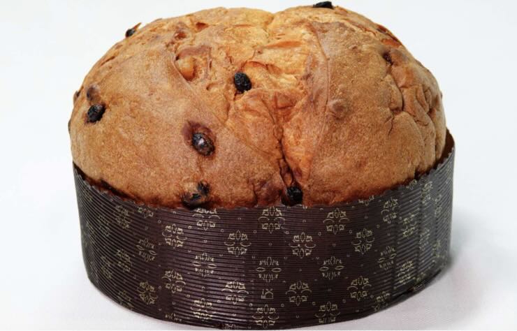 panettone artigianale 